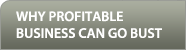 Profitable Business
